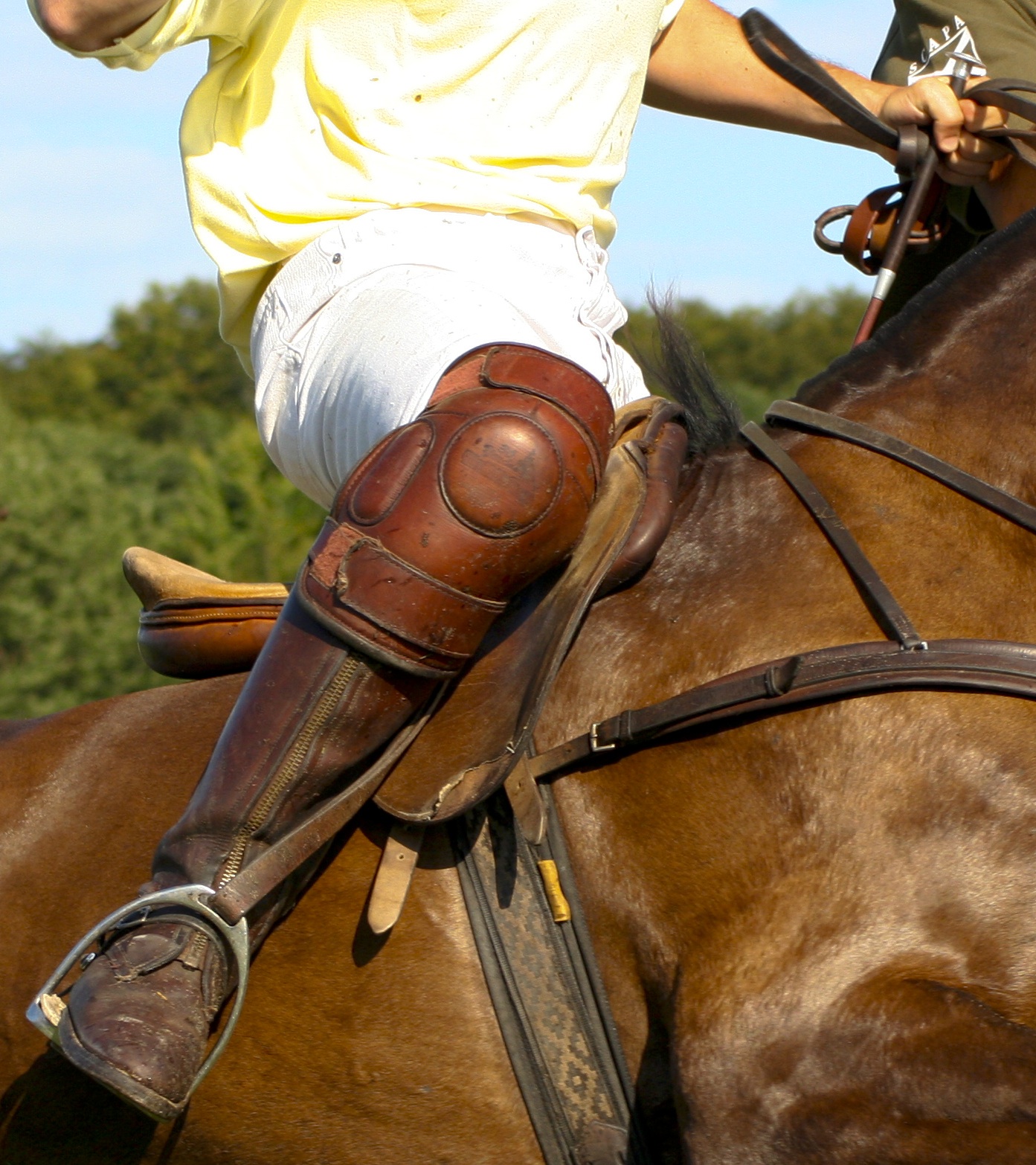 Polo kneepad