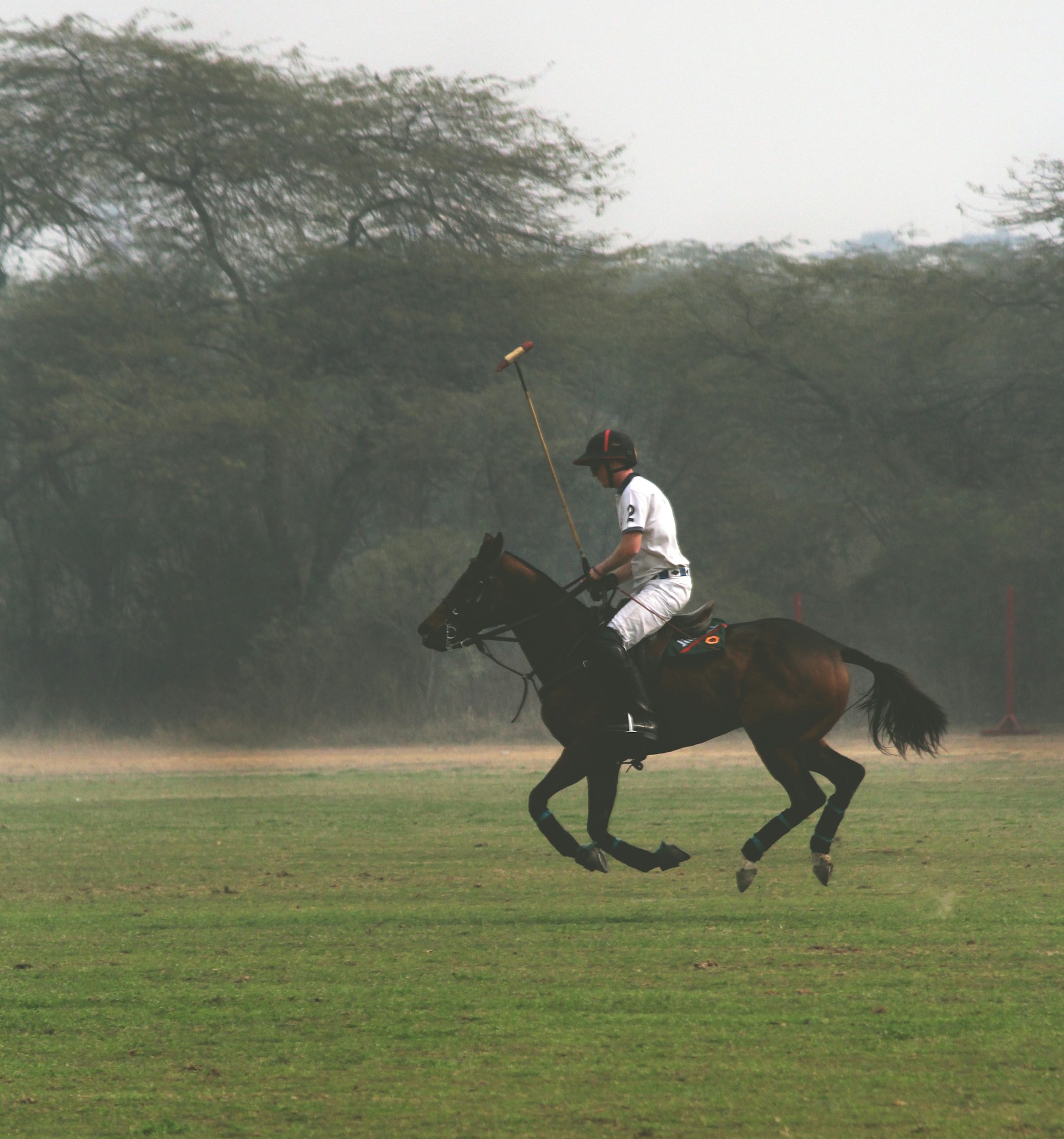 Jugador de polo montando en una cancha verde